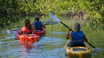 Key West Kayak Rental