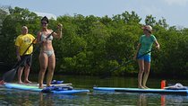 Key West Stand Up Paddleboard Rental 