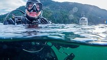 Scuba Dive Boat Charter in Vancouver (Certified Divers Only!)