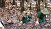 Private Cu Chi Tunnels - Half-Day guided Tour from Ho Chi Minh City
