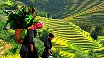 Sapa Trekking Tours - 2 Days 1 Night Stay At Homestay
