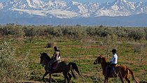 Marrakech Horse Riding