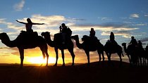 2-Day Zagora Desert Tour from Marrakech