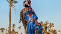 Marrakech Palmeraie Palm Groves and Desert Camel Ride
