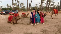 Sunset Camel Ride In Marrakech Palm Grove