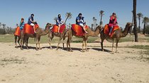 Marrakech Activities: Camel Ride Tour