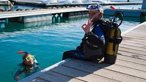 Scuba Diving Baptism in Caleta de Fuste