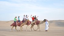 Dubai Desert Adventure Half-Day Tour
