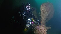 HMNZS Waikato & Tui Wreck Dives