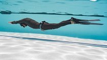 Basic Freediving Course