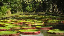 Historical Private Guided Tour, City-SugarWorld-Botanical Garden - Min.2 persons