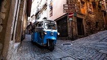 Porto Half-Day Private Tour with Tuk Tuk and Lunch