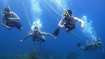 Platinum Power Shore Adventure, Hookah Diving, and Snorkeling