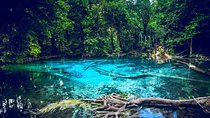 Krabi Emerald Pool, Hot Spring and Tiger Temple