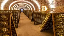 Schlumberger Sparkling Wine Cellar World Entrance Ticket in Vienna