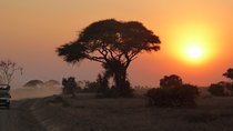 4-Day Safari: Lake Manyara, Serengeti & Ngorongoro 