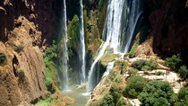 Ouzoud Waterfalls Full-Day Group Tour from Marrakech