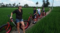 Electric Bike Tour in Ubud