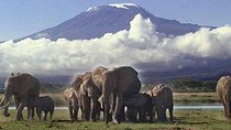3 Day Amboseli National Park All-Inclusive Camping Safari