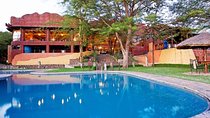 7-Day Tanzania Lodge Safari: Lake Manyara, Serengeti, Ngorongoro &Tarangire Park
