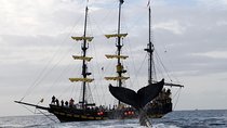 Whale-Watching Pirate Ship Cruise in Los Cabos