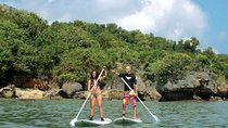 Private Stand Up Paddle Lesson