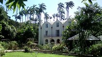 Barbados Harrison's Cave and St Nicolas Abbey Tour