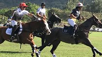Honolulu Polo Game with Stables Tour and VIP Seats plus Private Island Tour