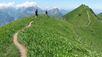 Peak to Peak Private Hiking Tour from Lucerne