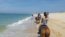 Horse Riding on the Beach Tour