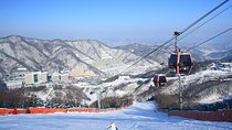 Vivaldi Park Winter Ski Resort with Nami Island Tour from Seoul