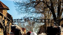 Auschwitz-Birkenau Memorial and Museum with Private Transfers from Krakow