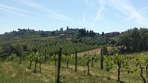 San Gimignano, Saffron and Vernaccia Wine from Florence