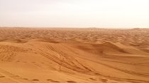 Dubai Red Dunes Desert Morning Adventure