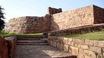 The Cruel Tughlaq Dynasty - A Private Historical Walk