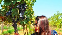 Vineyard Tour to Beautiful Nandi Hills including Wine Tasting & Private Transfer