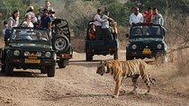 A Two Night Ranthambore National Park From Jaipur By Private Transfer