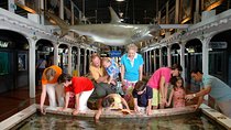 Key West Aquarium Admission
