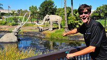 La Brea Tar Pits Segway Tour