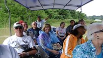 Tortuguero Canal Boat Tour: From Puerto Limon