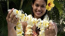 Traditional Airport Lei Greeting on Kahului Maui
