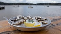  Sonoma Coast Tasting Tour: Cheese, Honey, Oysters, Wine and Oils