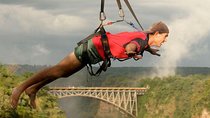 Adrenaline High Wire Package (Zimbabwe)