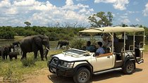 Safari Pass (Zimbabwe)