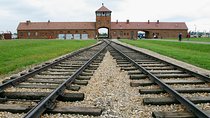 Auschwitz-Birkenau and Wieliczka Salt Mine Day Tour from Krakow with private car