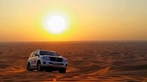 Sun Rise Desert Safari & Sandboarding (Private Vehicle)
