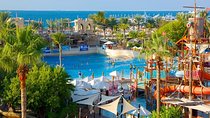 Wild Wadi Water Theme Park with Ticket & Transfers