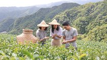 Private 1-Day Tea Experience in Taipei