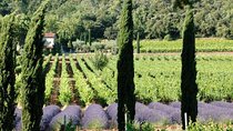 Full-Day Wine Tour around Luberon from Marseille