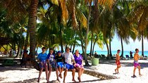 Saona Island Day Trip with Private Transfer and Personal Service